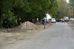 VZA_6335