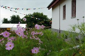 VZA_6955