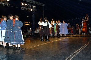 VZA_8199