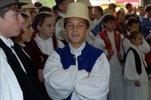 VZA_8290
