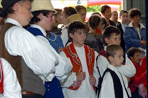 VZA_8291