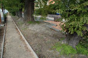 VZA_1449