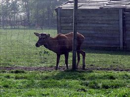 DSCF0689