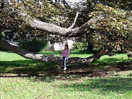 DSCF0704