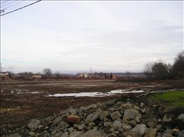 Iszap-Bohar-06