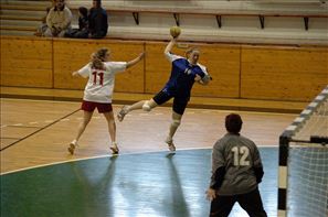 SPR_8199