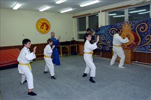VZA_8219
