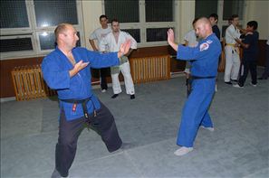VZA_8226