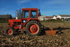 DSC_9384_800x534