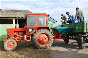 DSC_9427_800x534