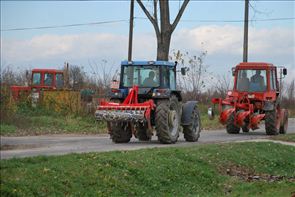 DSC_9437_800x534