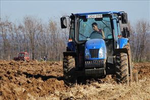 DSC_9441_800x534