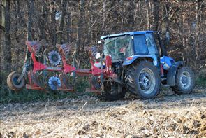 DSC_9443_1_800x534
