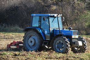 DSC_9479_800x534