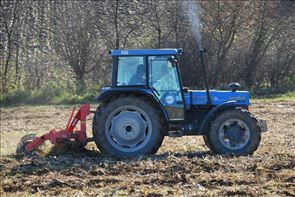 DSC_9481_800x534