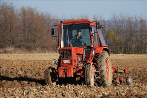 DSC_9486_800x534