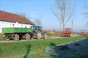 DSC_9561_800x534