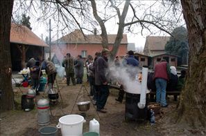 VZA_8076