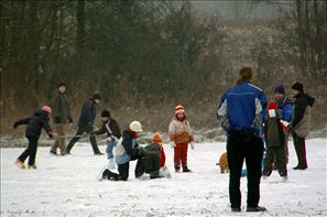 VZA_8108
