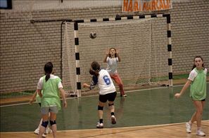 SPR_0581