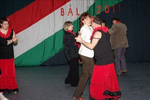 IMGP5069