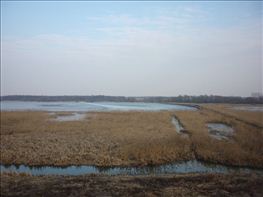 Tarozo-tavasz-2011-23