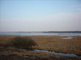 Tarozo-tavasz-2011-24