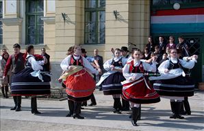 BLS_6393