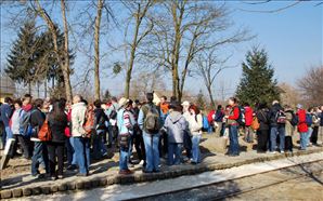 DSC_0496_800x498