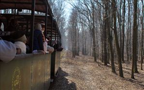 DSC_0510_800x498