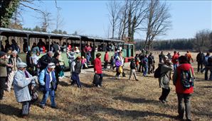 DSC_0512_800x460