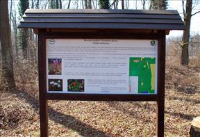 DSC_0514_800x547