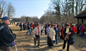 DSC_0515_800x481