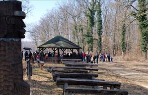 DSC_0521_800x519