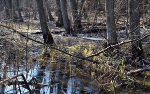 DSC_0535_800x503