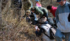 DSC_0540_800x468