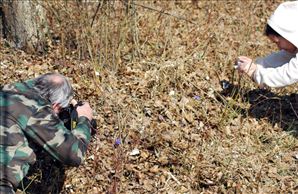 DSC_0543_800x520