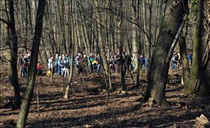 DSC_0565_800x488