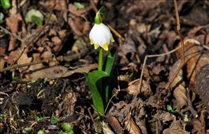 DSC_0573_800x513