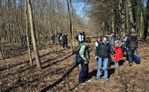 DSC_0580_800x497