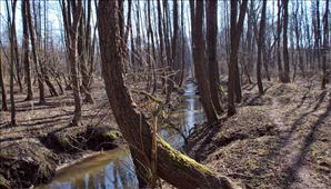 DSC_0596_800x457