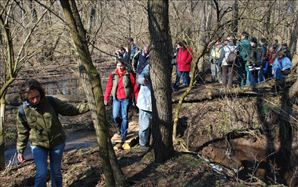 DSC_0608_800x501