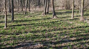 DSC_0609_800x437