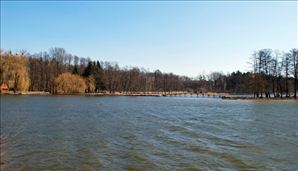 DSC_0611_800x459