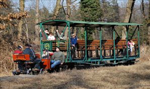 DSC_0655_800x477