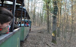 DSC_0673_800x500