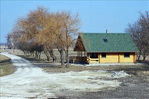 DSC_3_800x534
