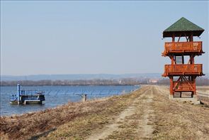 DSC_5_800x534
