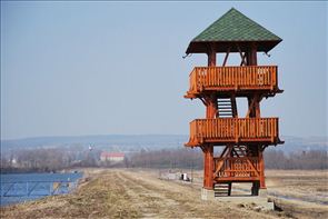 DSC_6_800x534