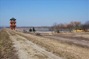 DSC_7_800x534